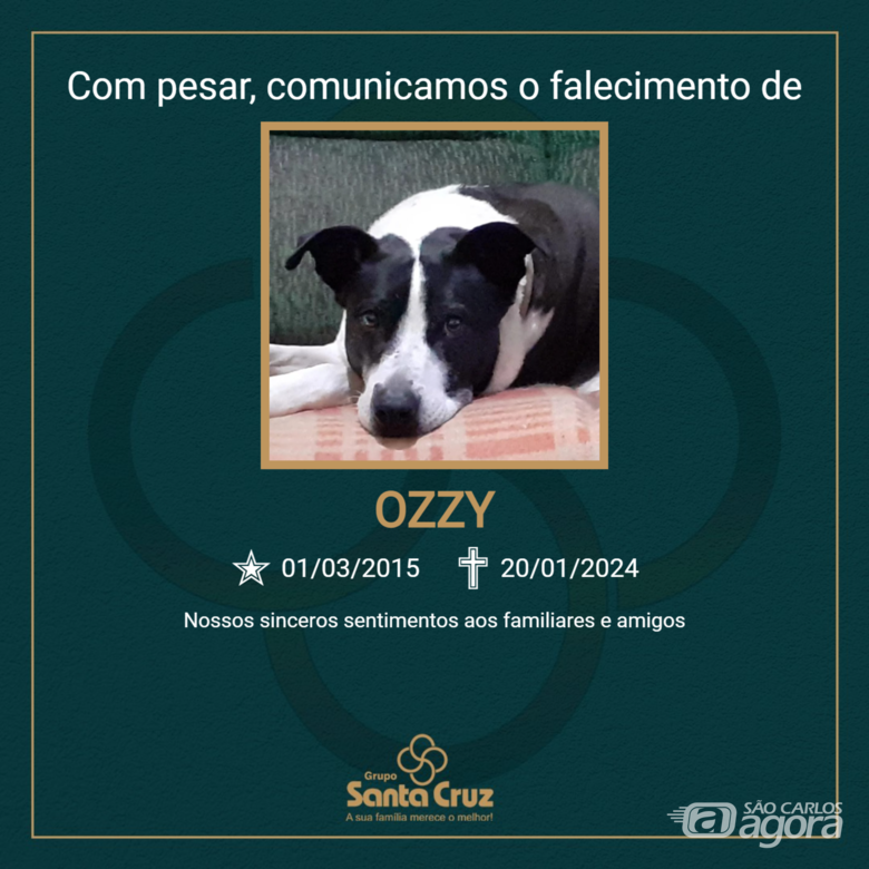 Homenagem do Grupo Santa Cruz ao pet Ozzy - 