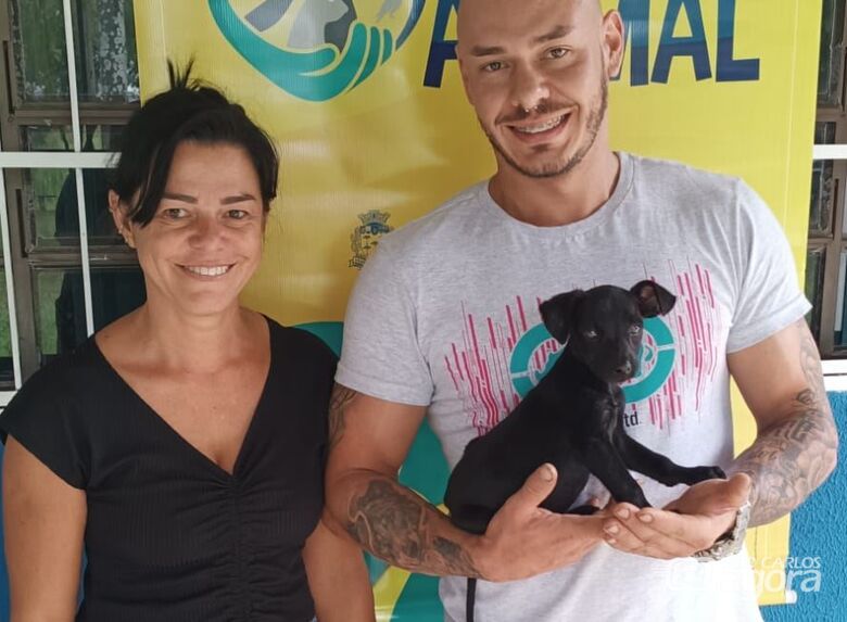 19 animais ganham novos lares após feira de adoação realizada no último sábado em São Carlos - Crédito: divulgação