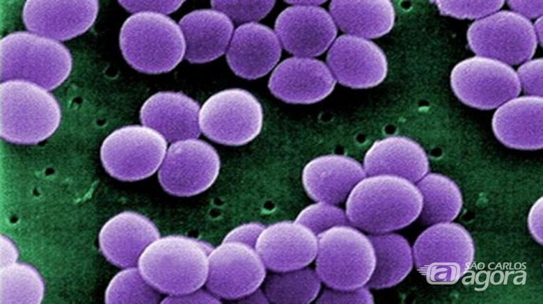 Trabalho Científico da Equipe do CEPOF – INCT – IFSC - USP no combate a bactérias resistentes é destaque na American Physical Society - Crédito: Credito: J. Haney Carr/CDC PHIL