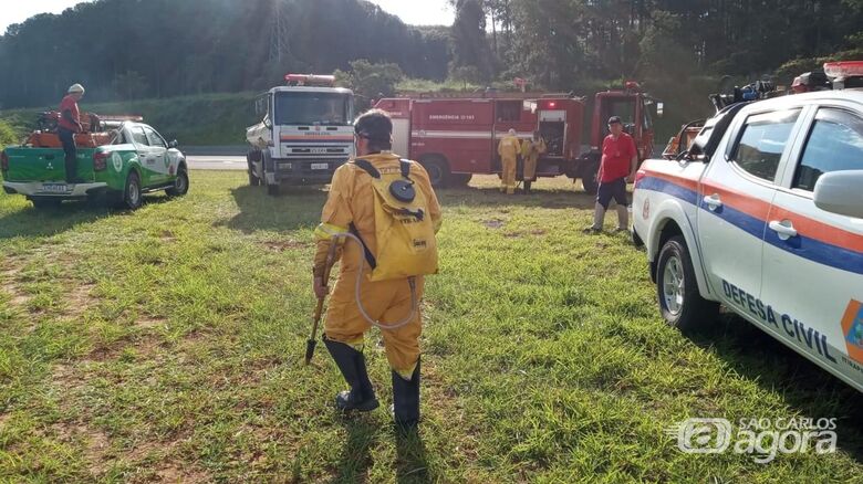 Incêndio atinge área externa do presídio de Itirapina - Crédito: Divulgação 