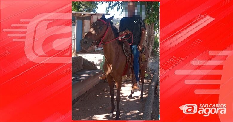 Procura-se égua Estrelinha que desapareceu na região do Antenor Garcia -