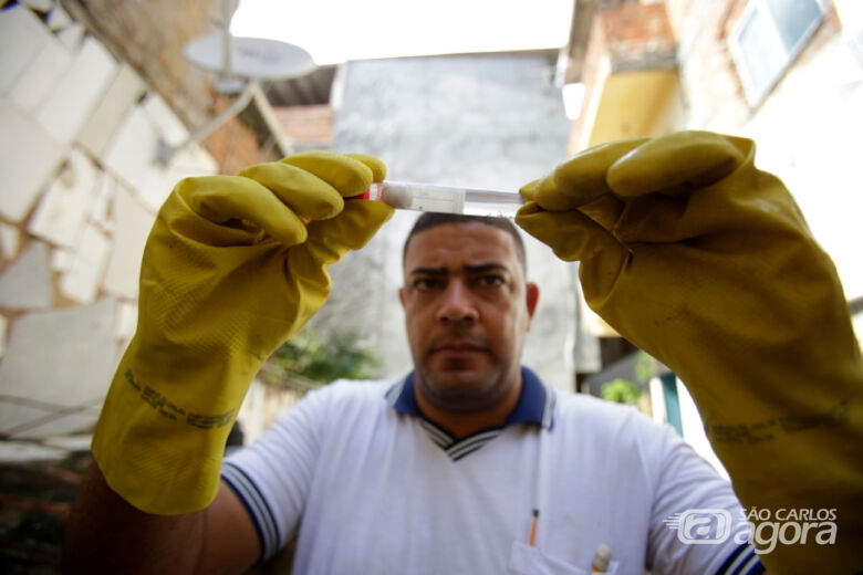 Focos do Aedes aegypti podem ser controlados com limpeza de locais com água parada - 