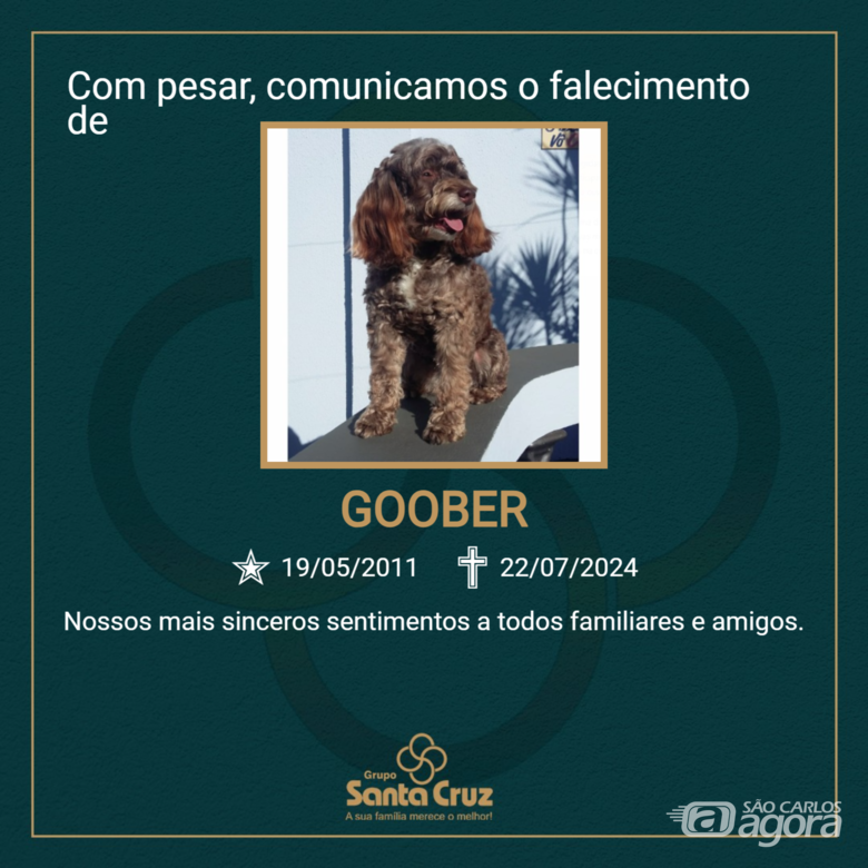 Homenagem do Grupo Santa Cruz ao pet Goober - 