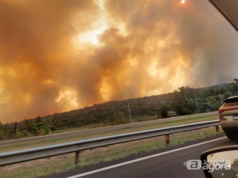 Governo de SP cria gabinete de crise para ações contra grandes incêndios no interior - Crédito: WhatsApp SCA 