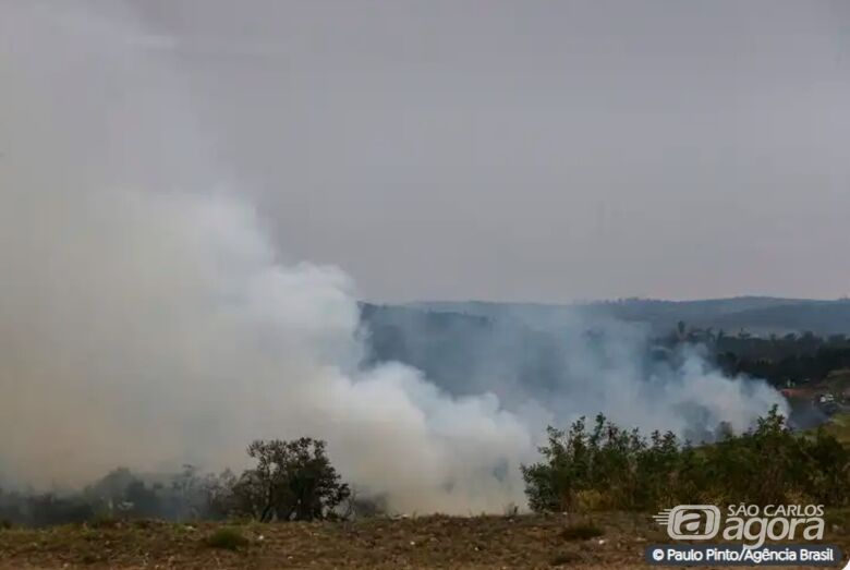 Sobe para 2.300 número de animais da pecuária mortos em incêndios no interior de SP - 