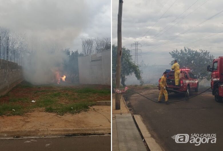 Incêndio em mata se aproxima das casas no Jardim das Torres - 