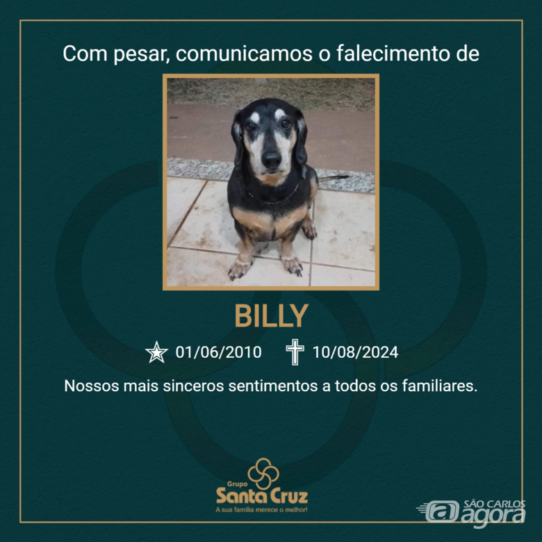 Homenagem do Grupo Santa Cruz ao cachorrinho Billy - 