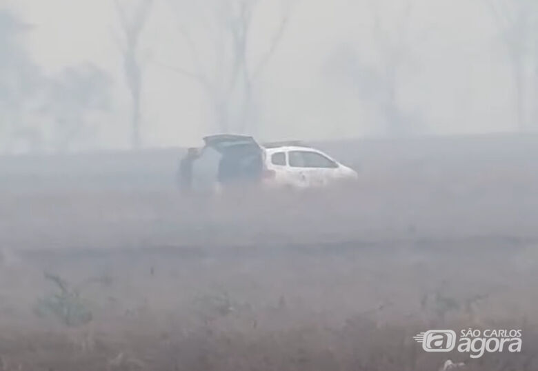 Homem é preso após incêndio criminoso em mata  - 