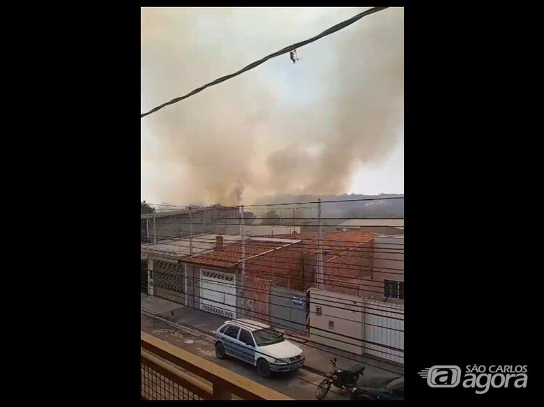 São Carlos e região em chamas: queimadas se espalham impulsionadas pelos ventos - 