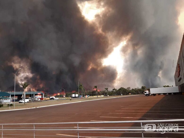 Leitores registram várias imagens de incêndios em São Carlos e região; veja - 