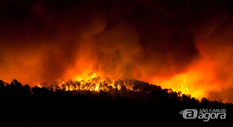 Prefeitura e Ministério Público preparam nova campanha para alertar sobre prevenção de incêndios - Crédito: Divulgação