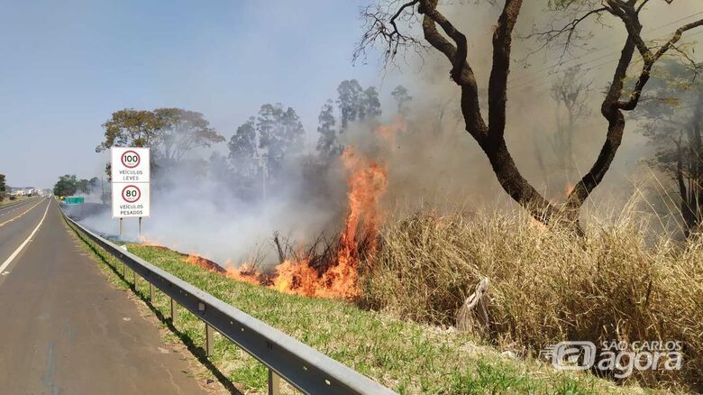 Incêndio consumiu vegetação às margens da SP-318 - Crédito: Maycon Maximino