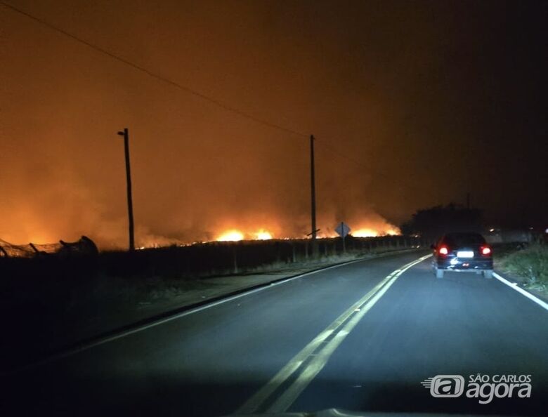 Incêndio atinge canavial nas margens da estrada Água Vermelha-Santa Eudoxia - Crédito: Redes sociais 