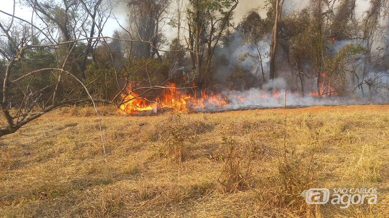 Novo incêndio atinge mata no Arace de Santo Antônio - Crédito: WhatsApp SCA