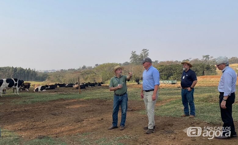 Comitiva conheceu as pesquisas com produção de bovinos de leite na Embrapa - Crédito: Gisele Rosso