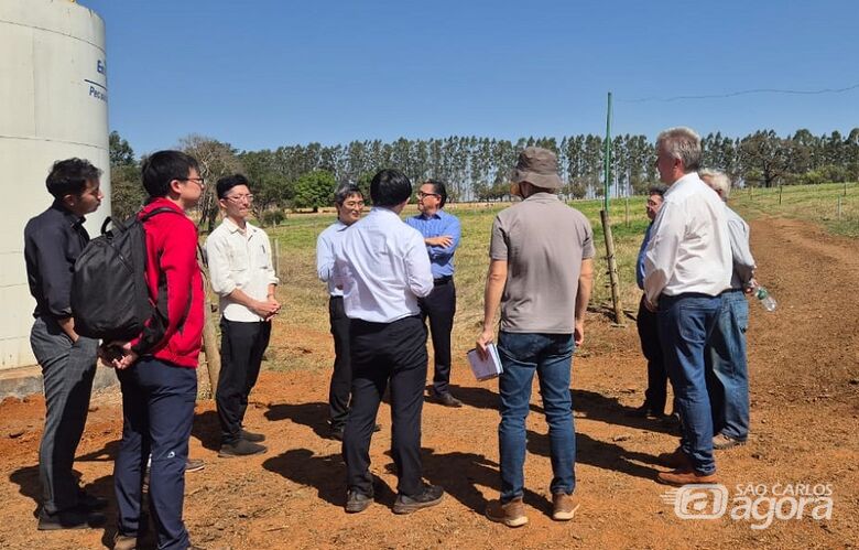 Comitiva visita Sistema de Produção de leite integrado com árvores e ordenha robotizada - Crédito: Gisele Rosso