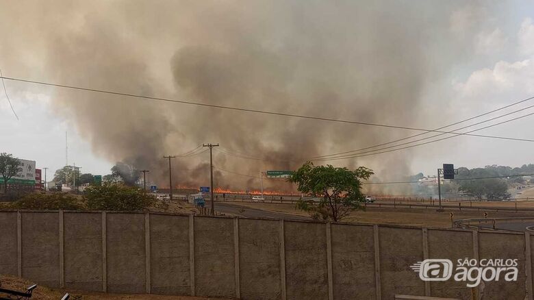 Incêndio atingiu área de pasto - Crédito: Whatsapp SCA