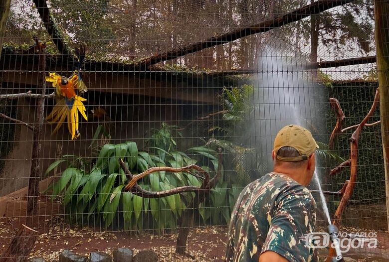 Animais do Parque Ecológico recebem banho e alimentação especial por causa do calor - Crédito: divulgação