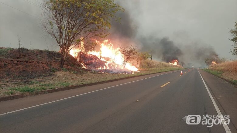 Queimada na manhã desta quarta-feira nas margens da SP-215 - Crédito: Whatsapp SCA