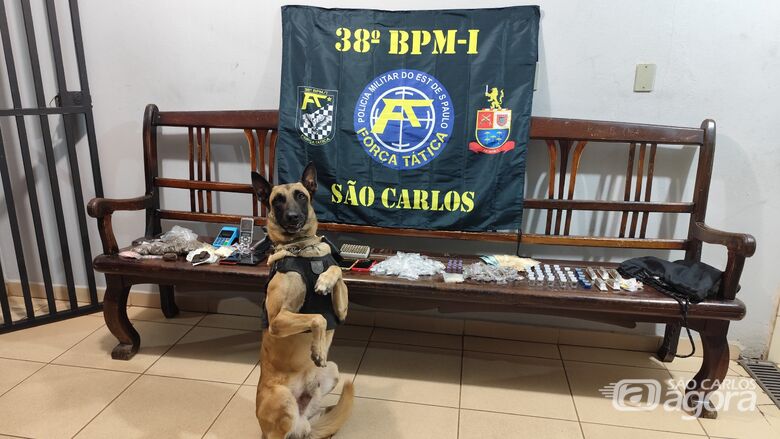 Força Tática e BAEP apreendem drogas e armas em São Carlos - Crédito: Maycon Maximino 