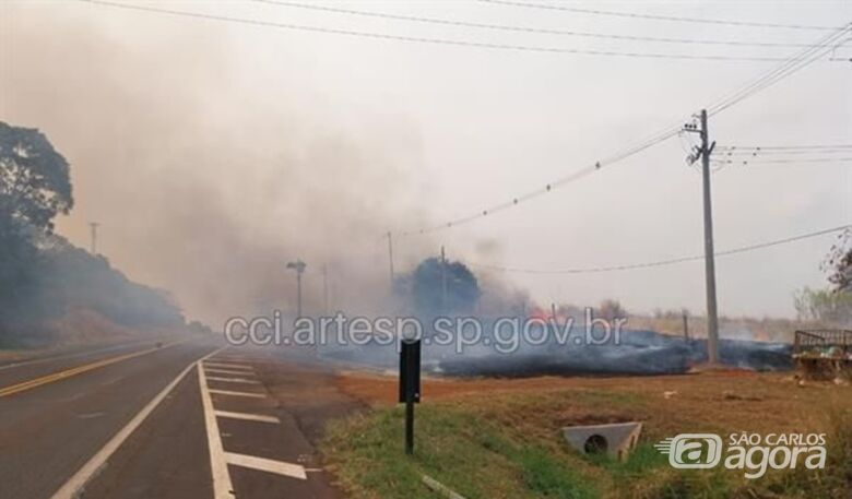 Incêndio mobiliza concessionária na rodovia SP-318 em São Carlos - 