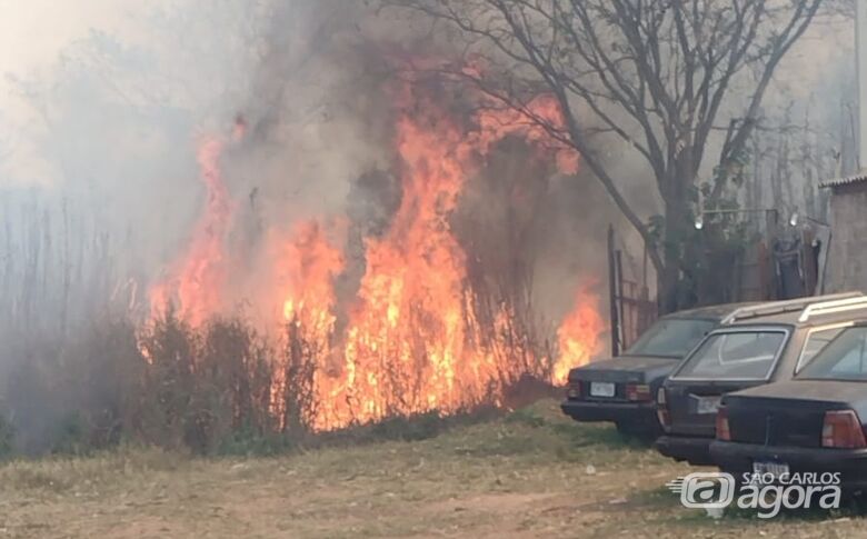 Fogo em mata no Antenor Garcia - Crédito: Whatsapp SCA