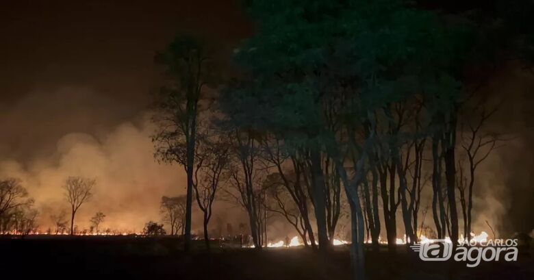 Incêndio de grandes proporções atingiu mata nas margens da Washington Luís - Crédito: Araraquara Agora