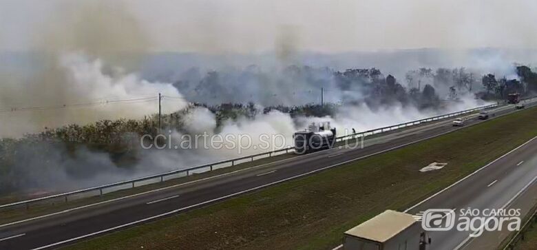 Queimada leva perigo a motoristas na Washington Luís em São Carlos - 