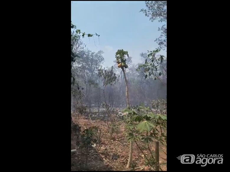 Incêndio em mata no Zavaglia é controlado  - 