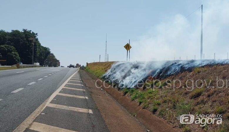 Sábado registra várias queimadas nas margens de rodovias - 