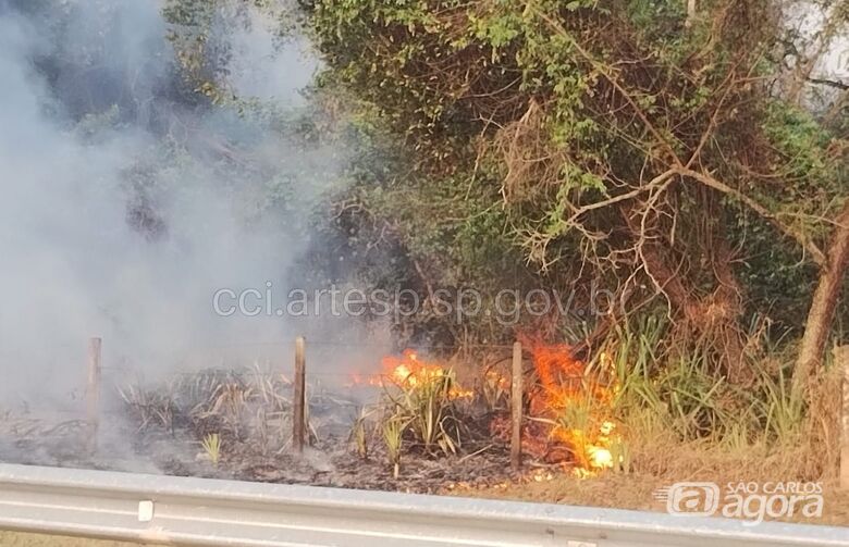 Queimada persiste na Washington Luís em São Carlos - 