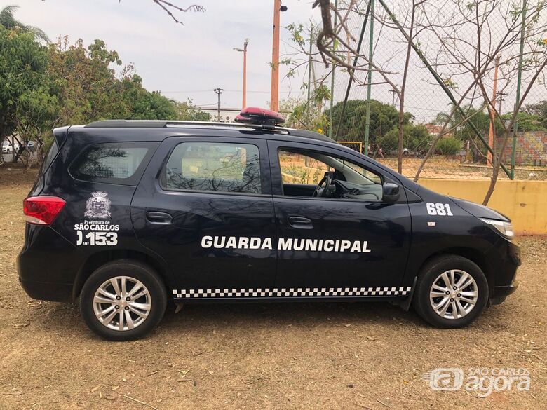 Pitbull é esfaqueado em praça no Maria Estela Fagá - 