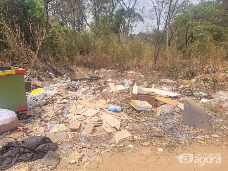 Meio ambiente vai recuperar mais de 80 áreas degradadas da cidade - 