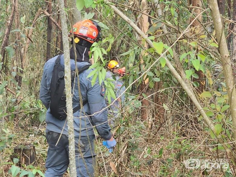 Bombeiros fazem buscas no local - Crédito: divulgação/Corpo de Bombeiros