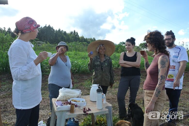 O Sítio Abirú e seus projetos de produção agrícola dentro da sustentabilidade  - Crédito: Divulgação 