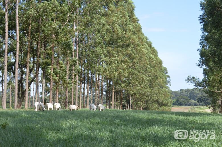 Meta é promover discussões que contribuam para uma produção eficiente e em equilíbrio com o meio ambiente - Crédito: Juliana Sussai