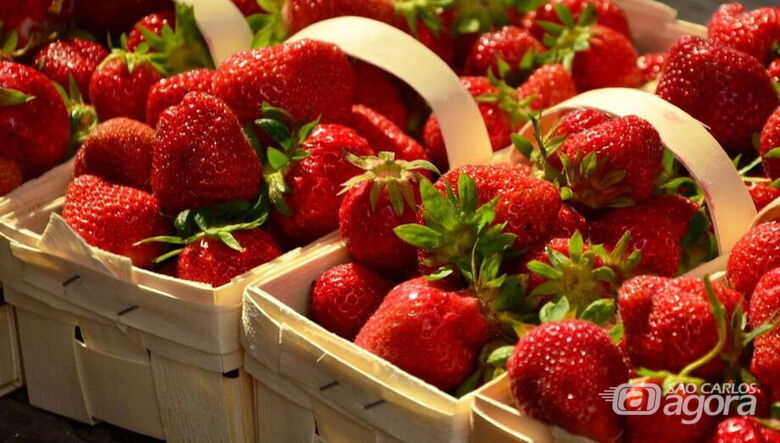 Festa do Morango - Crédito: divulgação