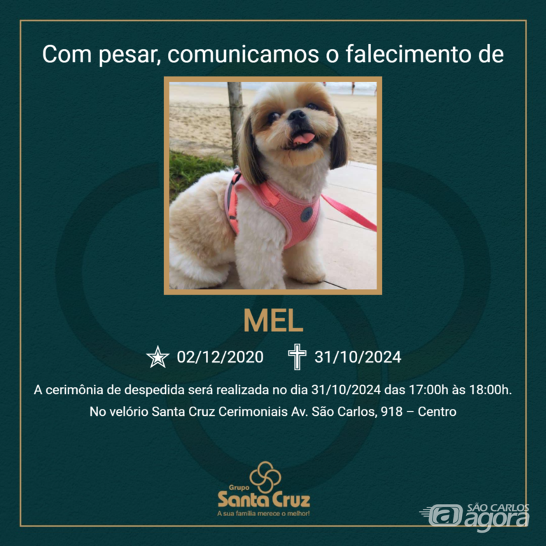 Homenagem do Grupo Santa Cruz a cachorrinha Mel -