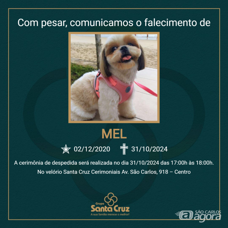 Homenagem do Grupo Santa Cruz a cachorrinha Mel - 