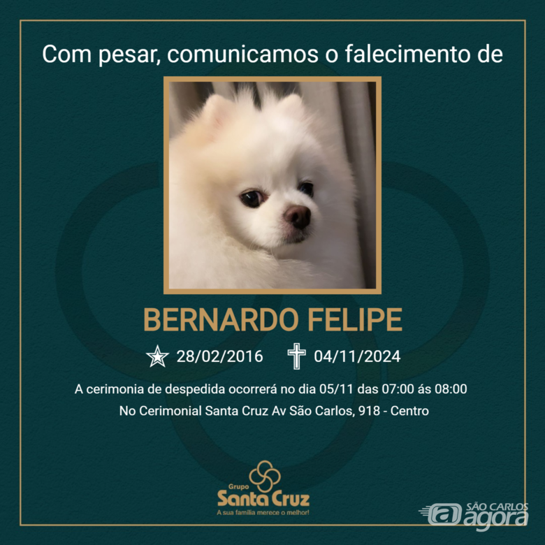 Homenagem do Grupo Santa Cruz ao pet Bernardo Felipe - 