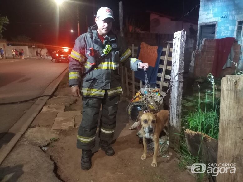 Incêndio consome casa no Jardim Cruzado; Corpo de Bombeiros resgata cachorro - Crédito: Rota das notícias 