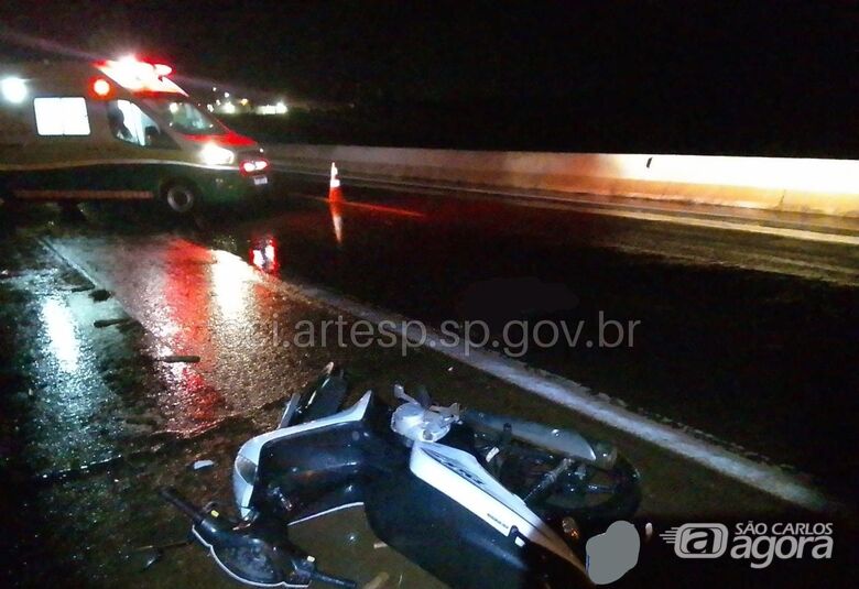 Motociclista morre após atropelar capivara na SP-333 - 