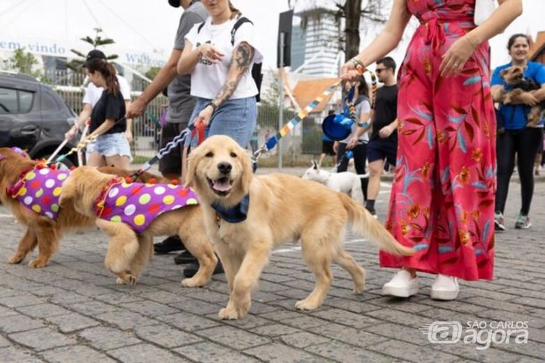 Cãominhada - Crédito: reprodução/Prefeitura de Blumenau