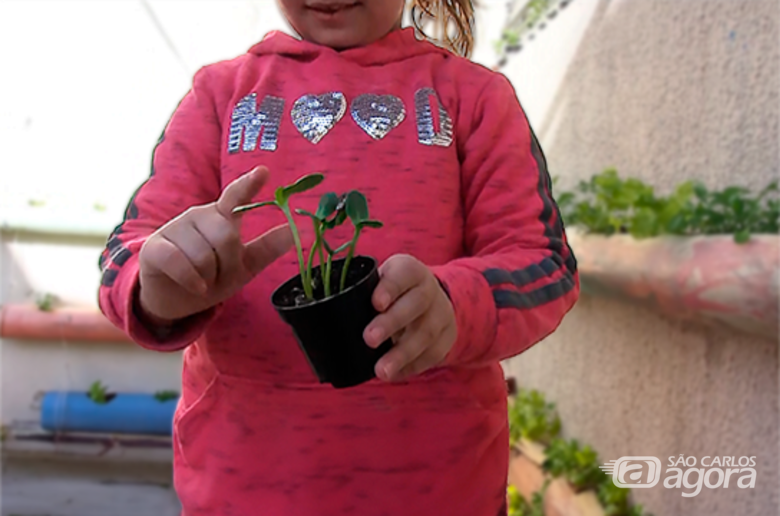 Projeto incentivo curiosidade e pensamento crítico nas crianças (Foto: Henrique Campos - ICC/UFSCar) - 