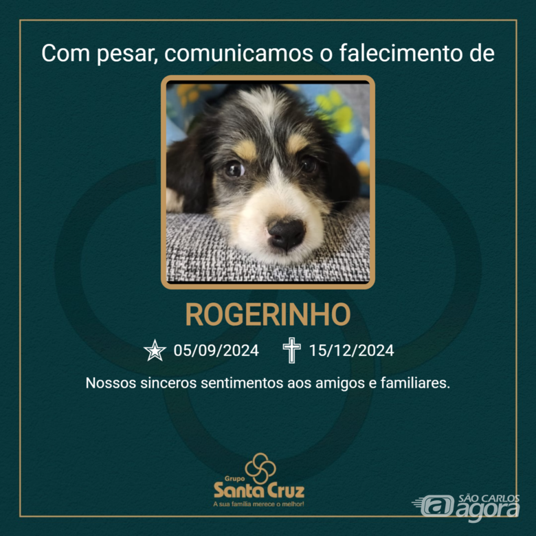 Homenagem do Grupo Santa Cruz ao pet Rogerinho - 