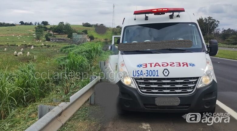 Corpo em decomposição é encontrado às margens da Rodovia Washington Luís -