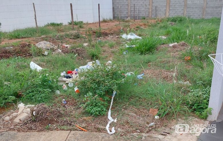 Veja como denunciar problemas com terrenos abandonados em seu bairro -