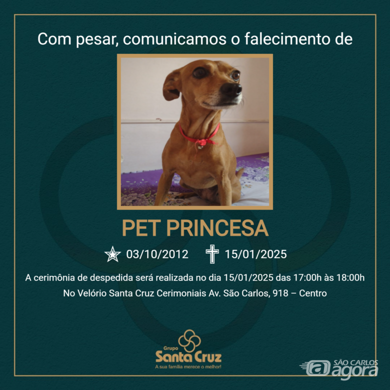 Homenagem do Grupo Santa Cruz a pet Princesa -