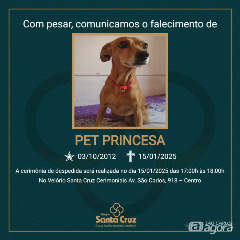 Homenagem do Grupo Santa Cruz a pet Princesa - 