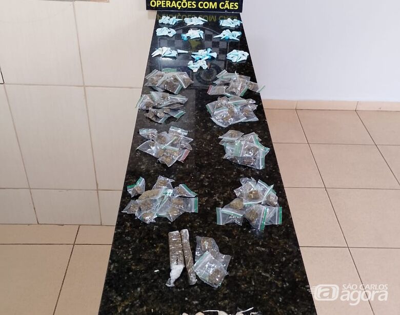 GM localiza entorpecentes em praça no Santa Felícia - Crédito: Divulgação